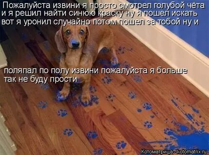 Посмотри так просто посмотри я буду