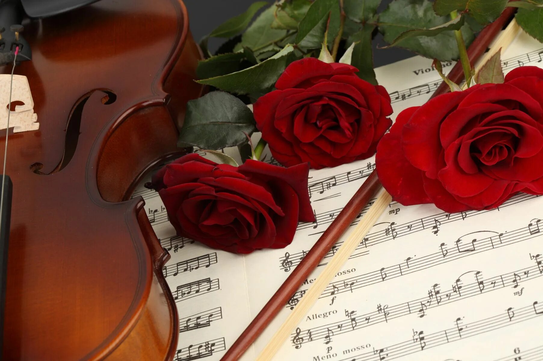 Красивую приятную музыку. Цветы для музыканта. Музыкальный букет цветов. Открытка музыканту. Музыкальный цветок.