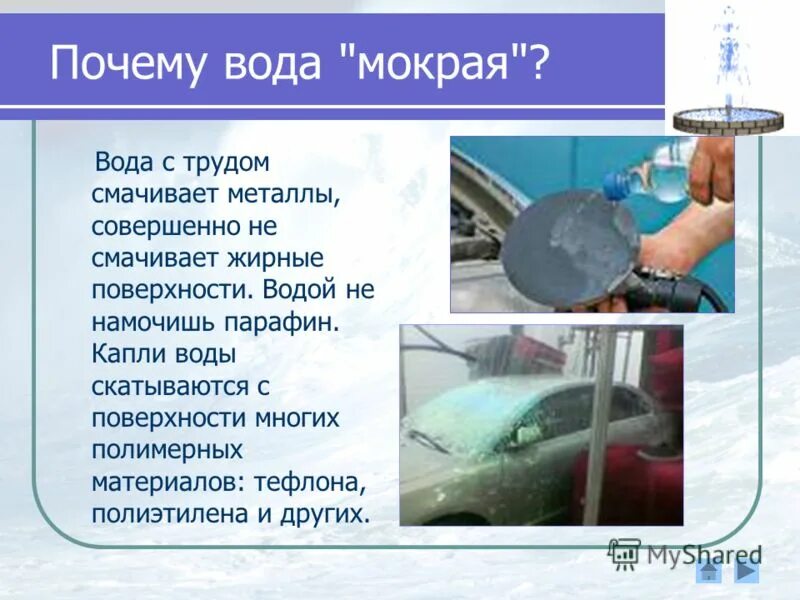 Почему руки холодные. Почему у кошки сухой нос. Почему у кошек мокрый нос. Почему вода мокрая ответ. Как уменьшить влажность воздуха.