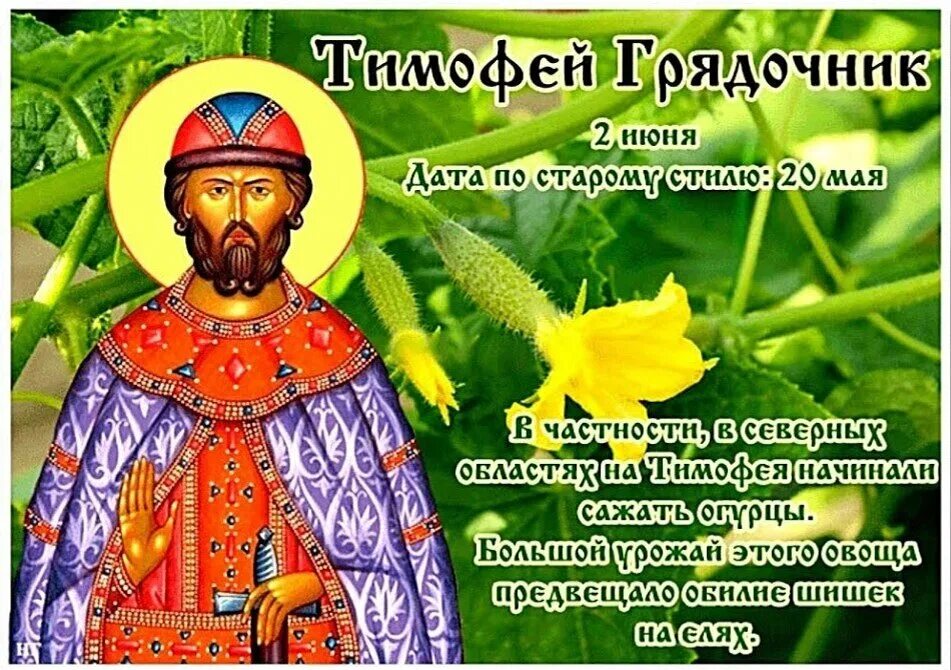 Народный календарь июнь картинки. Народный календарь. Народный календарь июнь картинки. Народный календарь июнь картинки. 1 июня народный календарь.