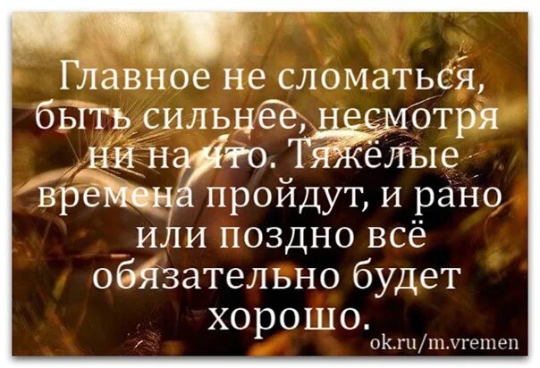 Одно из самых обычных и распространенных. Одно из самых обычных и распространенных. Бурозубка сообщение кратко. Жизнь продолжается афоризмы. Одно из самых обычных заблуждений состоит в том.