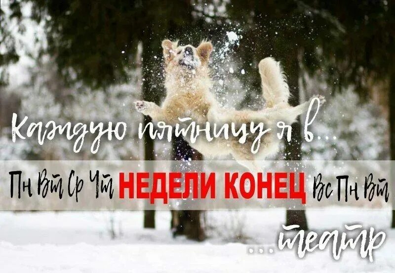 Хорошей пятницы зима. Зимние выходные. пятница зима. хороших зимних выходных. хорошей пятницы и выходных зима.