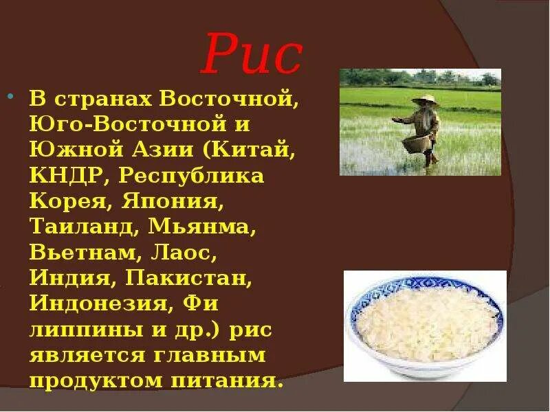 Рис главные страны. Рис в Южной и Юго Восточной Азии. Рис Азия страны. Рис в Южной Азии. Главная продовольственная культура стран Азии.
