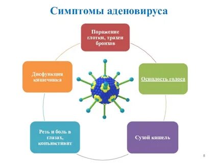 Грипп аденовирус
