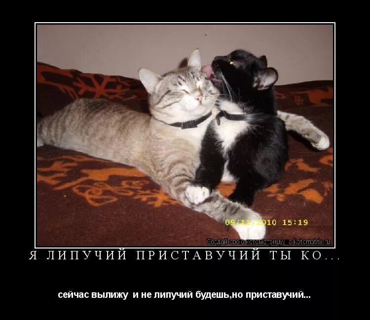 Картинки для любимого мужчины. Картинки парню с надписями. Нежный поцелуй. Страстный мужчина. Мне с тобой вкусно.