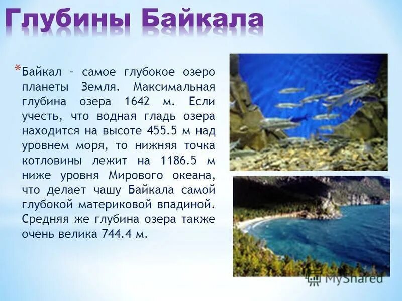 В россии самое глубокое озеро на земле. Описание озера Байкал. Самое глубокое озеро на планете. Презентация на тему озеро Байкал. Факты о Байкале.