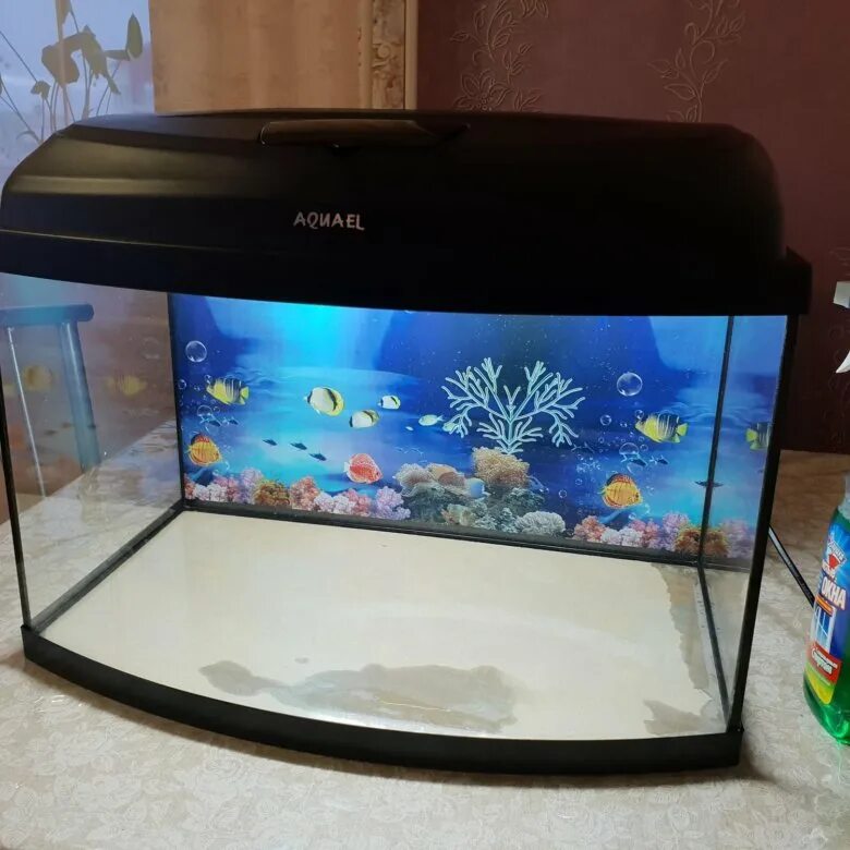 Аквариум 40 полкруга. Аквариум 40 литров. Аквариум 40л. Квадратный аквариум 40 литров. Аквариум 40 литров.