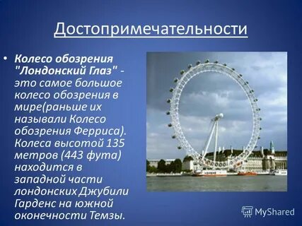 Обозрение главное