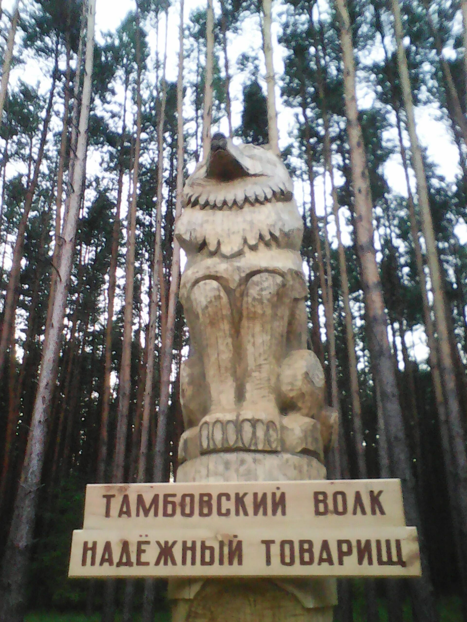 Памятник тамбовскому волку. Памятник Тамбовскому волку в Тамбове. Памятник Тамбовскому волку Рассказово. Достопримечательности Тамбова Тамбовский волк.