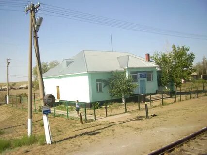 Жаксы