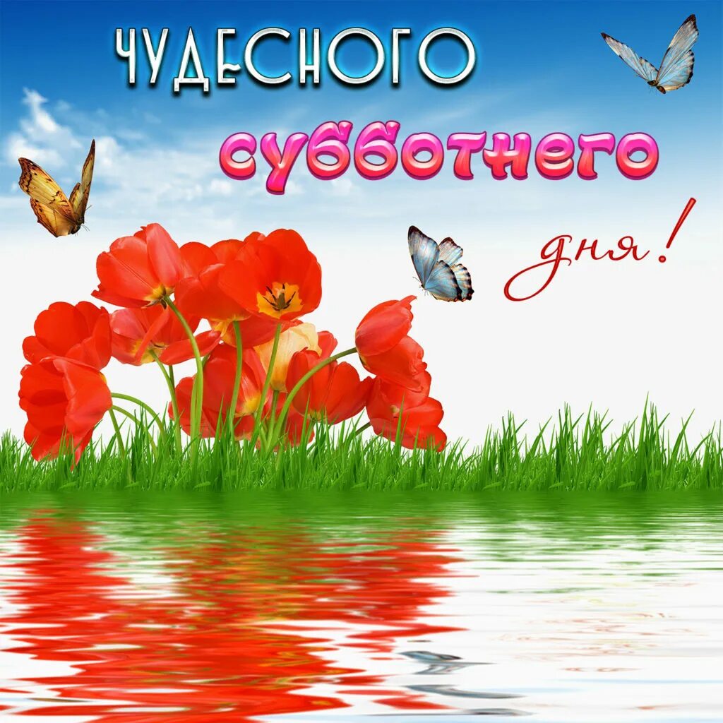 Хорошей субботы любимому человеку. Доброго субботнего утра и хорошего настроения. Хорошей субботы. Добрый вечер субботы. Хорошей субботы любимому человеку.