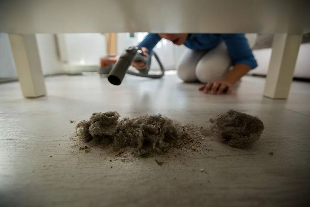 Почему дома много пыли. Квартирная пыль. Домашняя пыль. Комок пыли. Пыль в квартире.