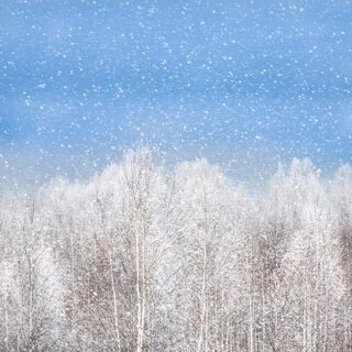 Зима приближается холодное небо часто хмурится