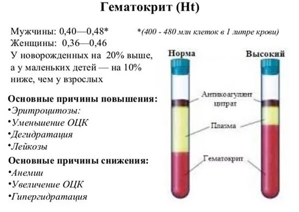 Что означает повышенный гематокрит