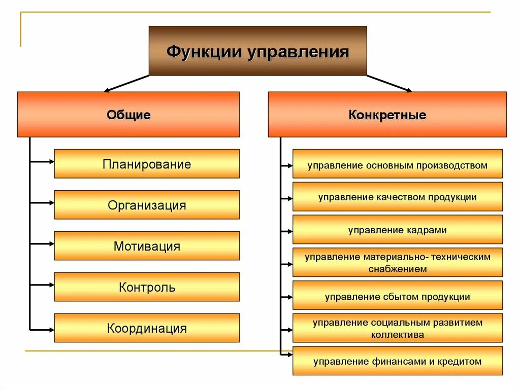 Что относится к функциям организации. Общие и конкретные функции управления. Общие и специальные функции управления. Общие и конкретные функции менеджмента. Специальные конкретные функции управления.