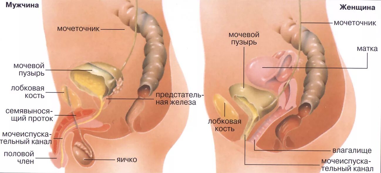 Жжение Во Время Секса