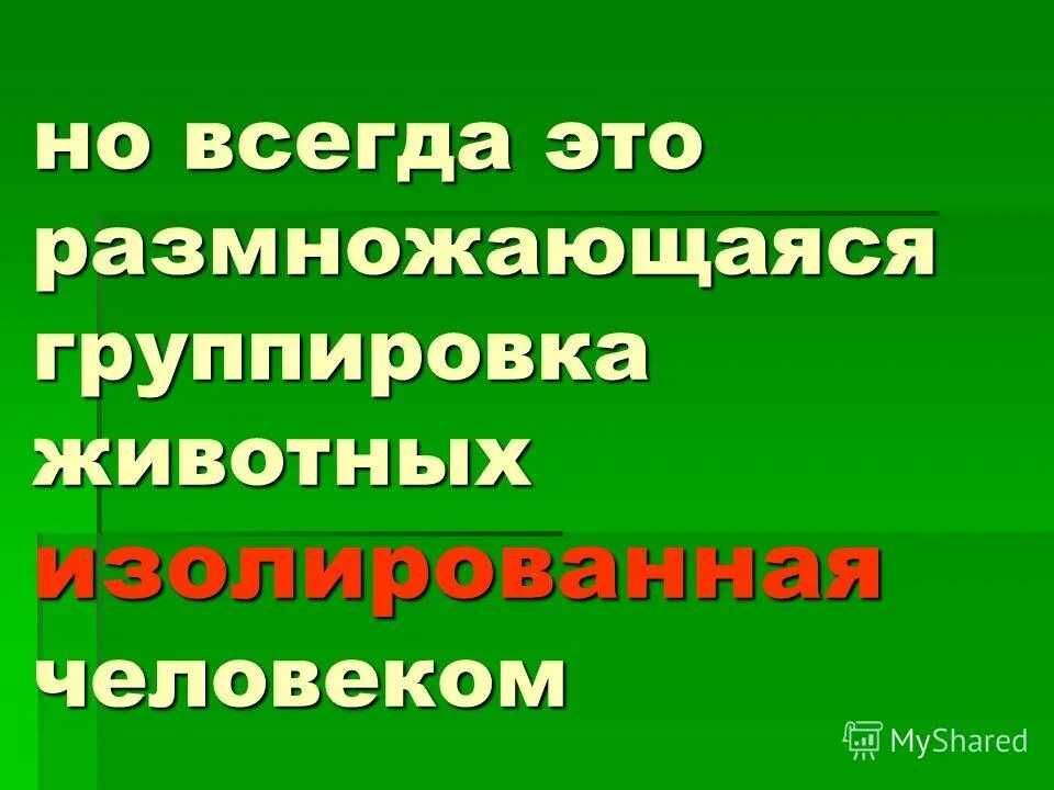 Группировка животных. Группировка животные. Группировки животных