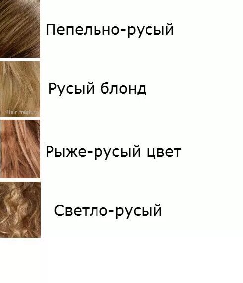 Как будет по английски светлые волосы. Русый и светло русый цвет волос отличия. Светло русые волосы и блонд разница. Русый и светло русый разница. Блондин и светло русый разница.