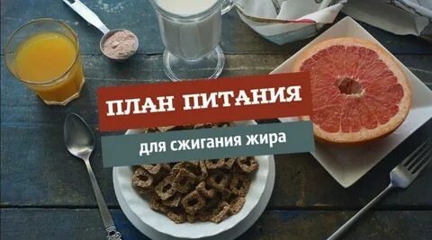 Питание для сжигания жира