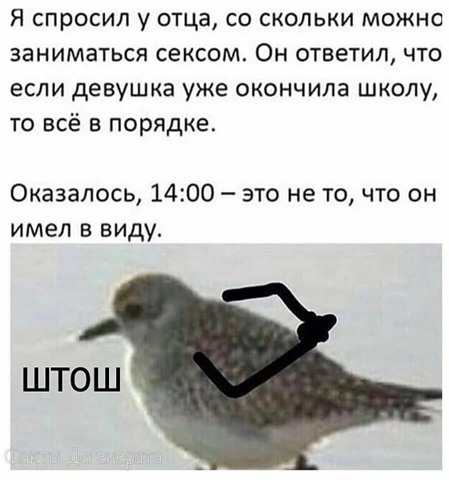 Во сколько лет девочки начинают мастурбировать. Во сколько лет можно заниматься. со скольки лет можно заниматься этим. закон со скольки лет можно заниматься. подкат засчитан мем.