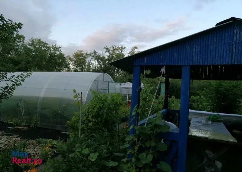 Г карабаш, тер снт дружба, д 180. Снт рефлектор дружба саратов. Снт дружба челябинск металлургический. Сады снт дружба. Показать сады.