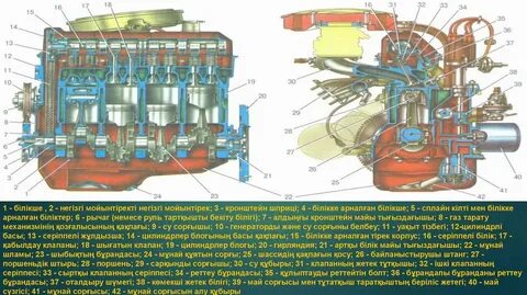 Түскі үзілістің жыныстық қатынасын қараңыз