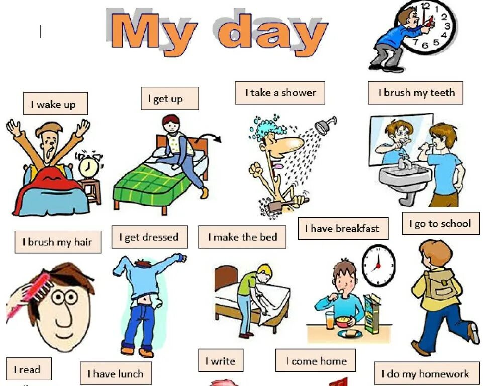 Who does get up. My Day картинки. Проект по английскому my Day. My Daily Routine лексика. Лексика по теме “my Day”.