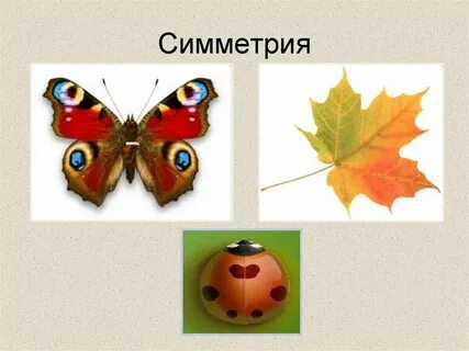 2 симметрии