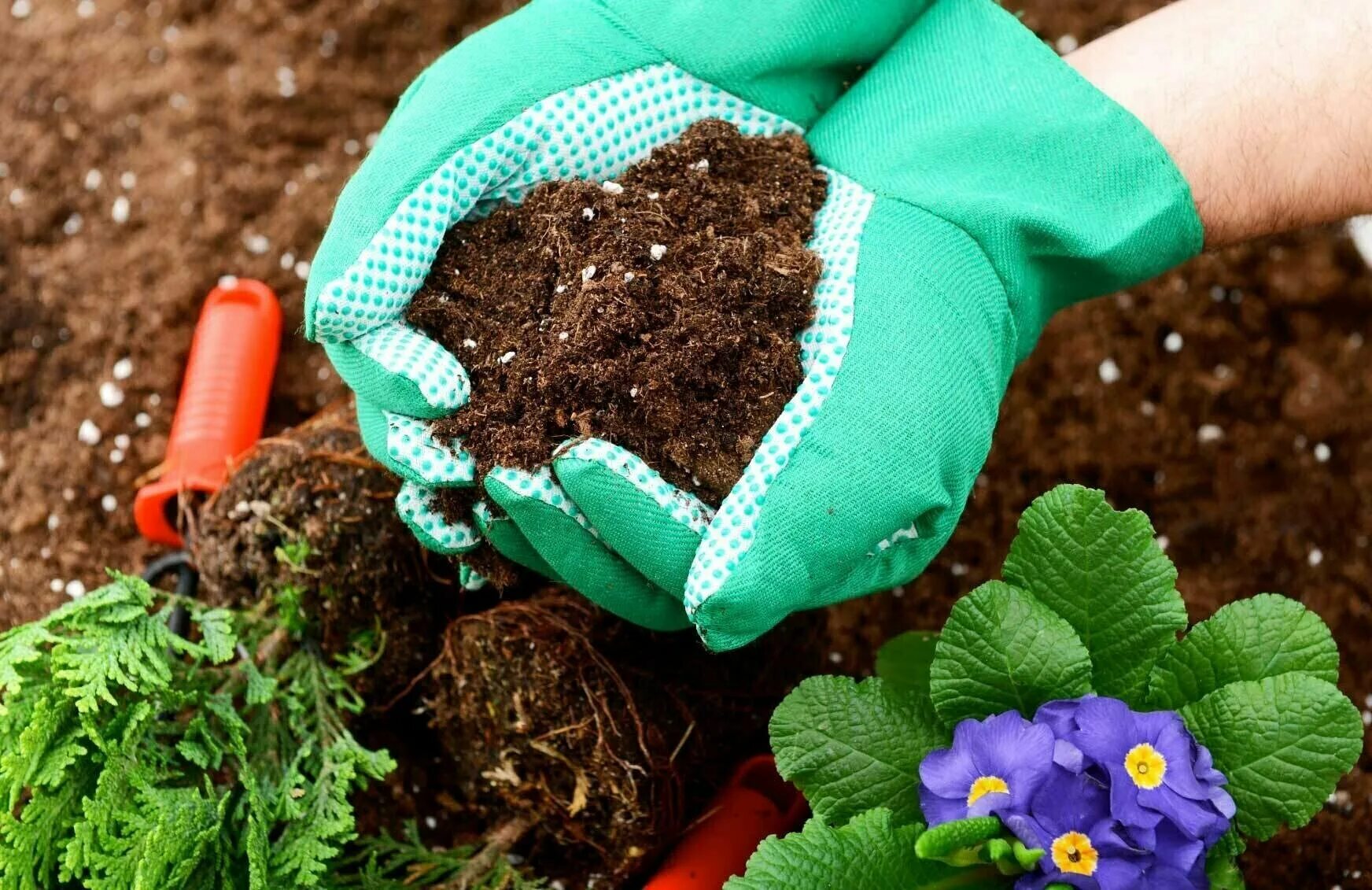 Можно поливать цветы мочевиной. Удобрения. Удобрения для растений. Бактериальные удобрения. Удобрение почвы.