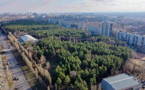 Парк танаис воронеж