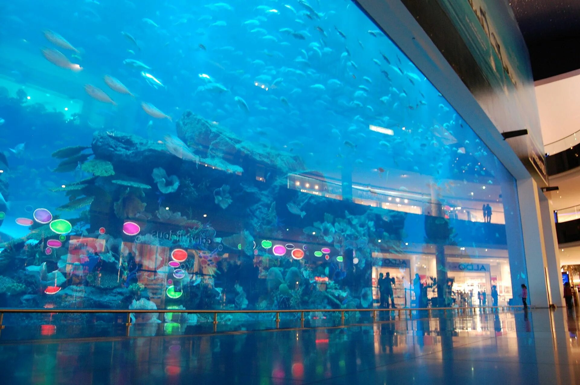 Палата аквариум. Океанариум дубай. Dubai mall аквариум. Аквариум "dubai mall" (оаэ, дубай). Dubai mall аквариум.