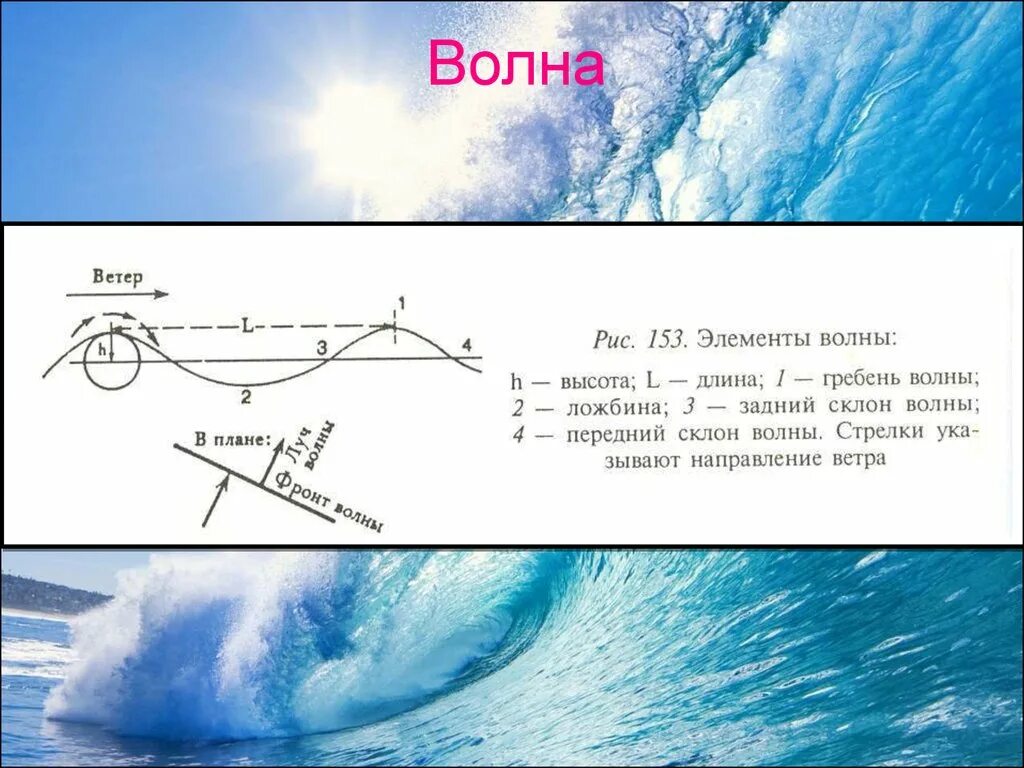 Подошва волны это. Высота волны. Элементы волны. Строение волны. Элементы волны схема.