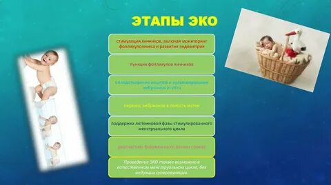 Этапы эко