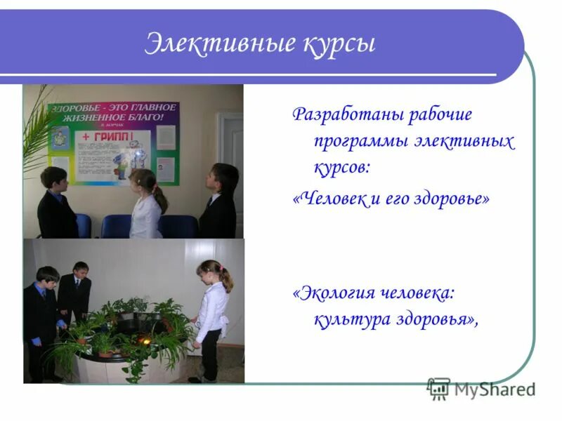 Выбор элективного курса