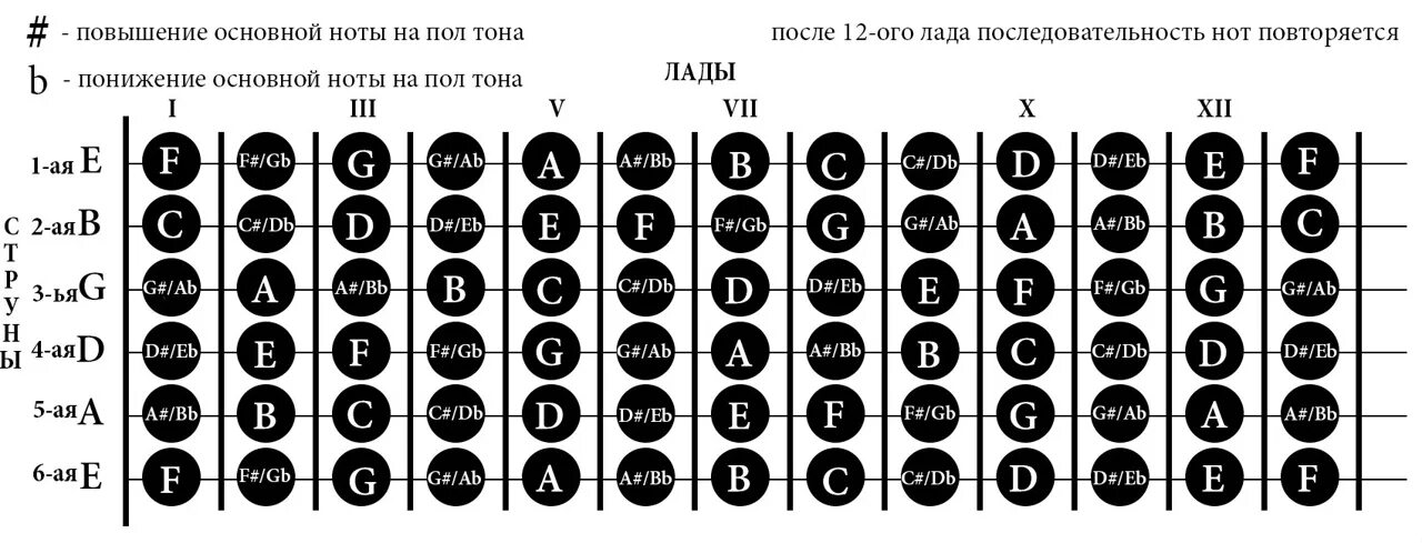 Строй 6-ти струнной гитары. Строй 12-ти струнной гитары. Строй гитары 6 струн тональности. Таблица для гитары 6 струн. 6 струнной звуки