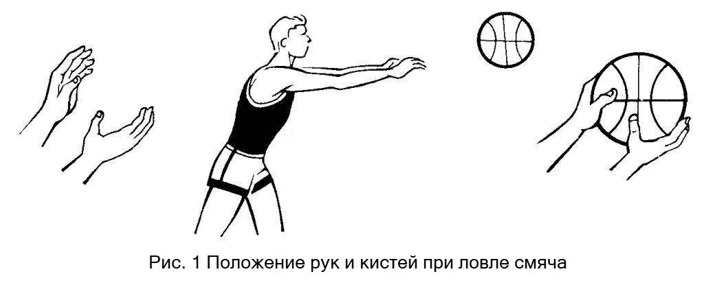 С мячом вправо. Техника ловли мяча в баскетболе. Ловля мяча двумя руками в баскетболе. Положение рук при ловле мяча двумя руками в баскетболе. Ловля мяча выполняется в баскетболе.