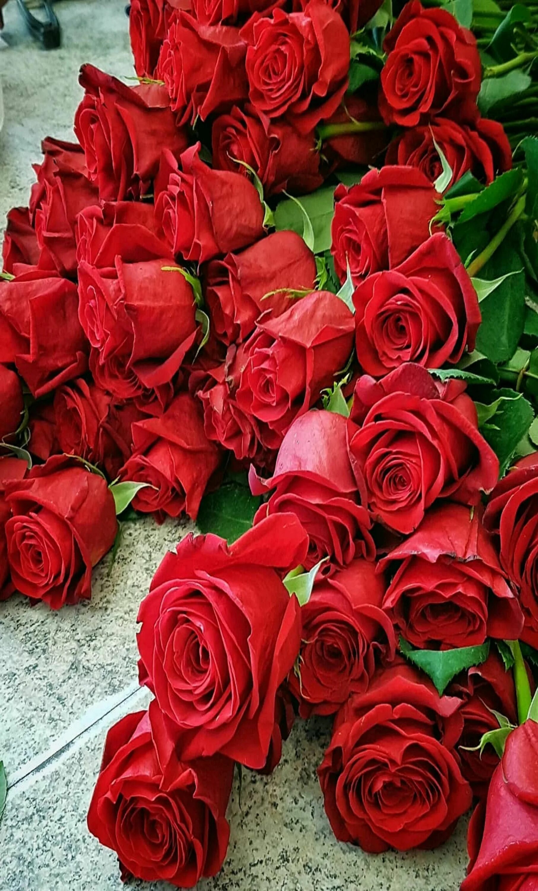 Шикарные цветы. Розы. Красивые розы. Красивый букет роз.