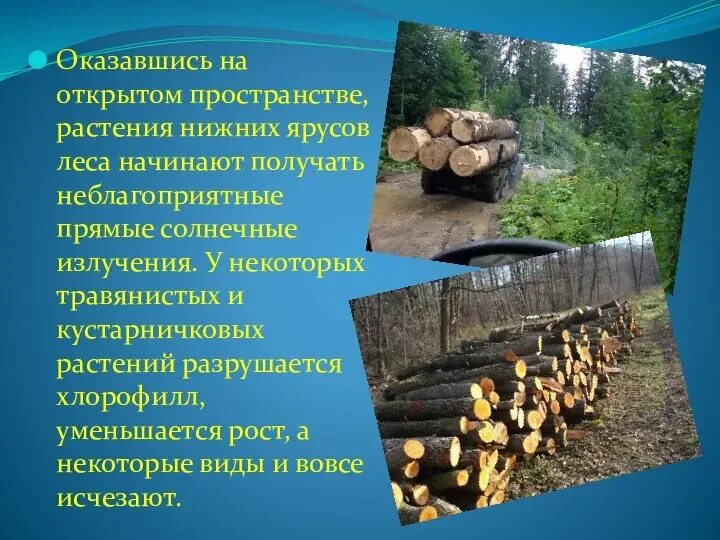 Влияние растительного покрова. Влияние деятельности человека на растения. Влияние человека на растительные сообщества. Влияние человека на растительный мир. Воздействие хозяйственной деятельности на растительный мир.