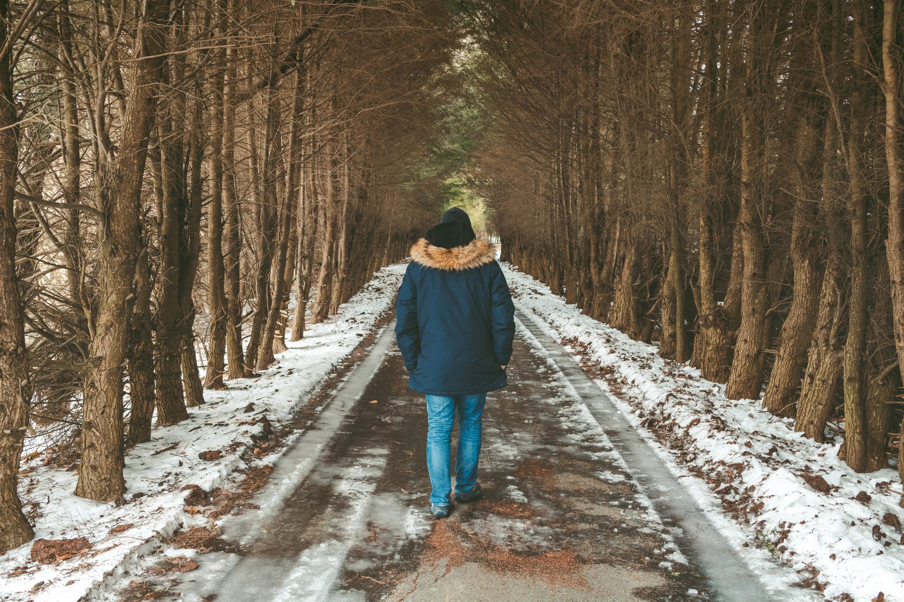 Зима депрессия. Мужчина в зимнем лесу. Прогулка в одиночестве. Прогулка зимой.