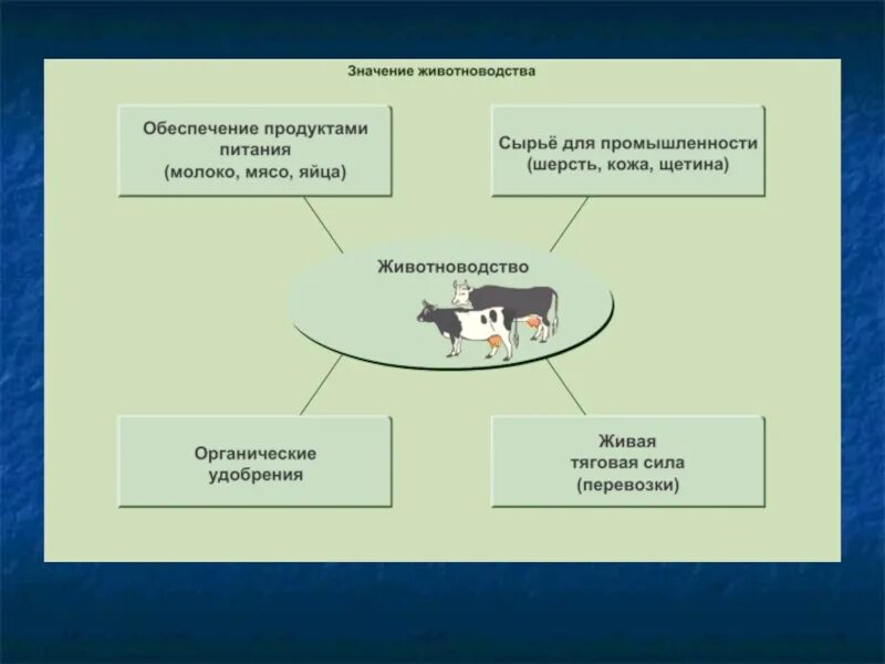 Значение млекопитающих для человека и в природе. Значение млекопитающих в природе. Конспект значение млекопитающих. Роль млекопитающих в природе и жизни человека. Значение млекопитающих для человека.