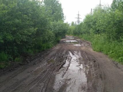 Нея киров