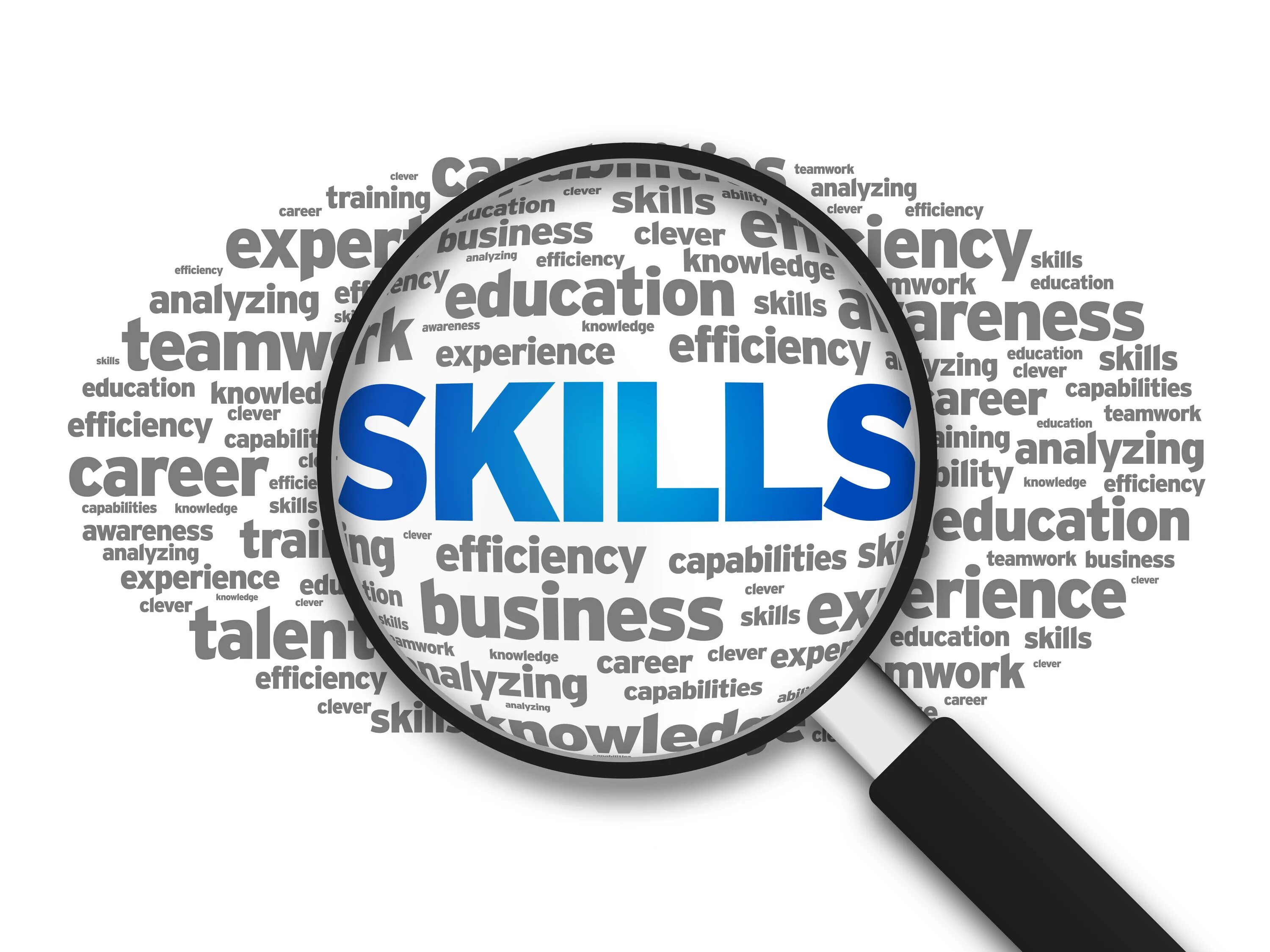 Skills. Скиллс. Soft skills тренинг. Business skills логотип. Knowledge experience