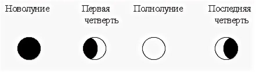 Васильева час полнолуния. Новолуние и первая четверть. Первая четверть новолуние полнолуние. Луна в последней четверти рисунок. Новолуние схема.