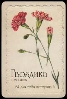 Книга со значениями цветов