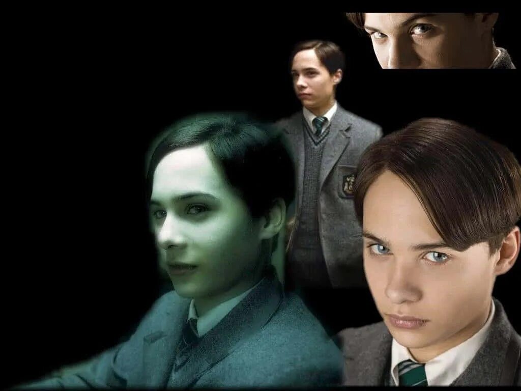 Почему том реддл. Tom Riddle. Том Марволо Реддл арт. Фрэнк Диллэйн Реддл.