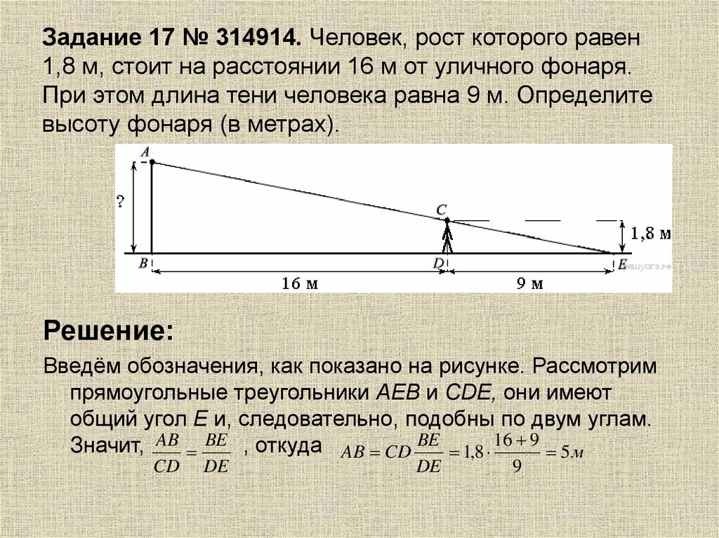 Человек рост которого составляет. Человек рост которого равен 1.8. Задачи на тень человека. Человек на расстоянии 1 м. Человек рост которого.