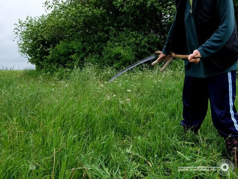 Кошение травы косой. Косы косить траву. Покос травы. Скос травы. Косы косить траву.