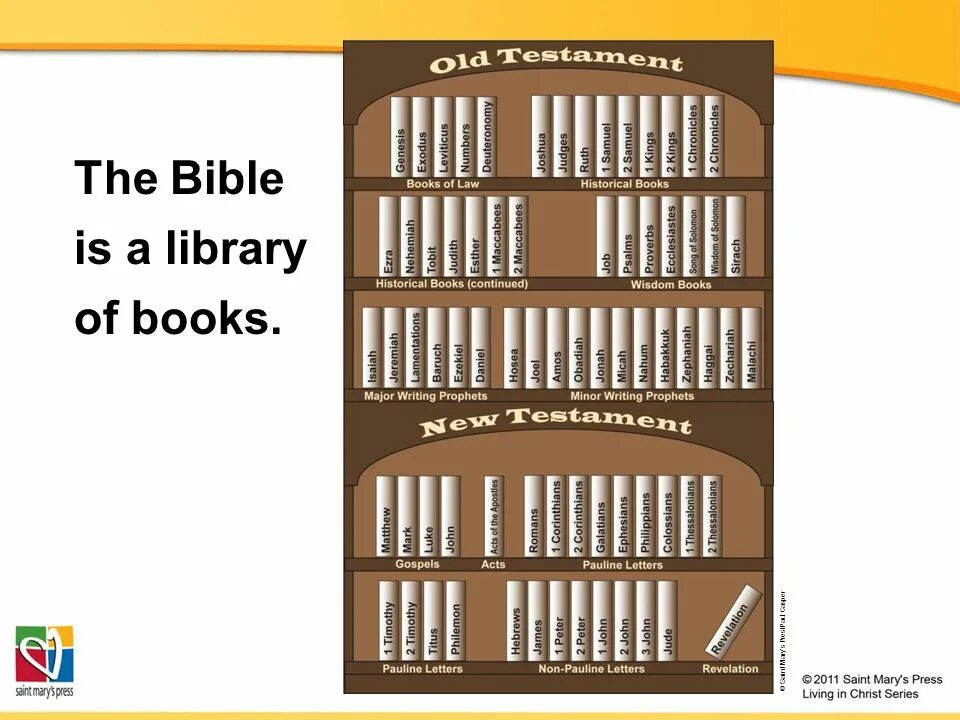 What is a library
