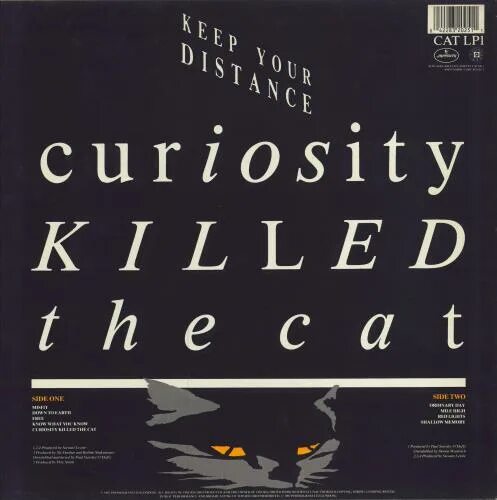 Curiosity Killed the Cat. Curiosity Killed the Cat русский эквивалент. Curiosity killed the