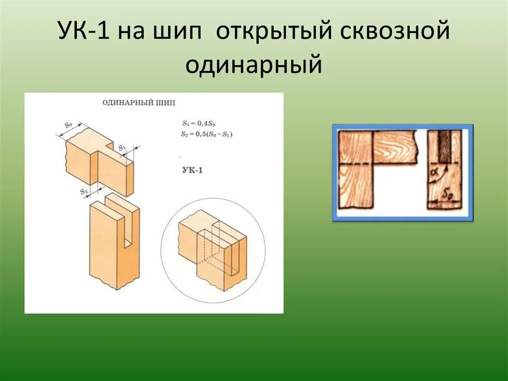 Выступ шипа